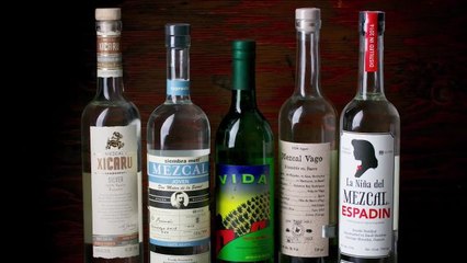 The Fascinating History of Mezcal: From Hidden Gem to Celebrated Spirit 🥃