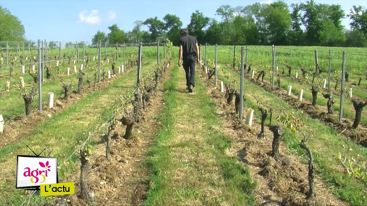 JT agri85TV du vendredi 5 mai 2017