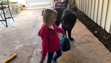 Une petite fille dit au revoir à son chien avant d'aller à l'école !