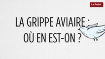 Fin de la grippe aviaire : le point sur la situation dans le Sud-Ouest