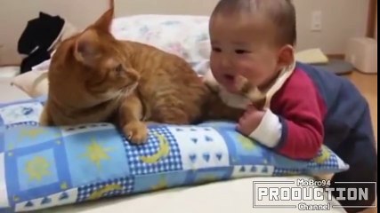Babies annoying cats – Funny baby & cat compilation.