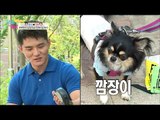 철우, 개들과 칠해지길 바라~[남남북녀 시즌2] 50회 20160624