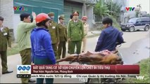 Tin Tức VTV1 _ Bắt Quả Tang Cơ Sở Vận Chuyển Lợn Chết Được Giả Làm Lợn Mán Để Mang Đi Tiêu Thụ