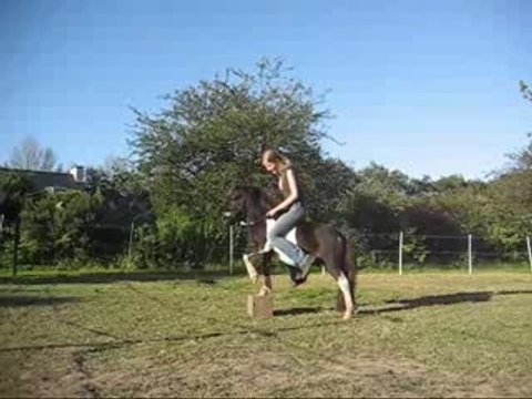 Montage, resumé des debuts de Pawnee