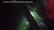 Fishermen tags huge great white shark off Hilton Head-SBClBL0Pik0