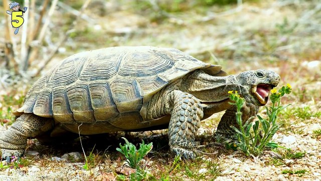 107 Danny Phantom Facts YOU Should Know! Feat. Butch Hartman (Tooned Up #241) - ChannelFrederator