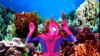 Spiderman Mermaid vs Shark! w_ Frozen Elsa & Anna, Superman, Maleficent, Pink Spidergirl & Candy -)