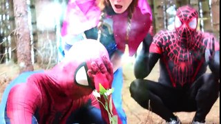 Spiderman Saves Pink Spidergirl! w_ Frozen Elsa & Anna, Joker & Candy! Superheroes In Real Life -)