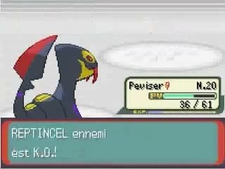 Pokemon Script Project - Combat Dresseur
