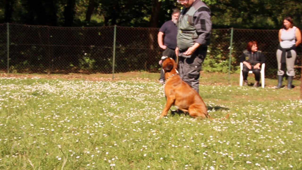 Geisha entraînements à Pradines, la Fuyante, 2017-05-04