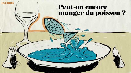 Peut-on encore manger du poisson ?