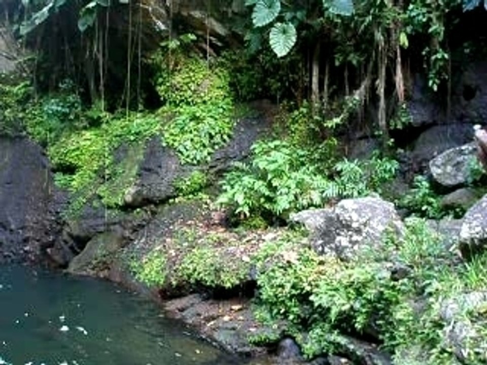 Saut de la Lezarde