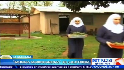 ‘Monjas marihuaneras’: Agricultoras estadounidenses triunfan en la industria del cannabis bajo la estética de la religió