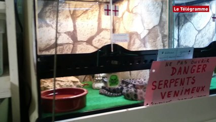 Plouagat (22). Le Terrarium de Kerdanet  : un appel au mécénat pour pousser des murs