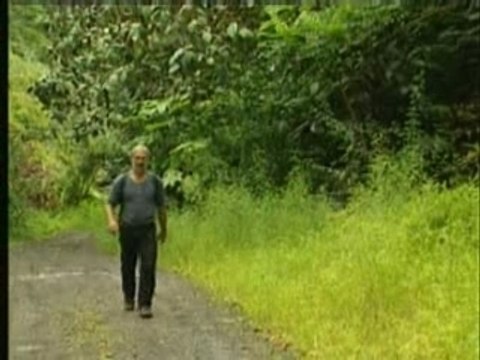 3 randonnées en Polynésie