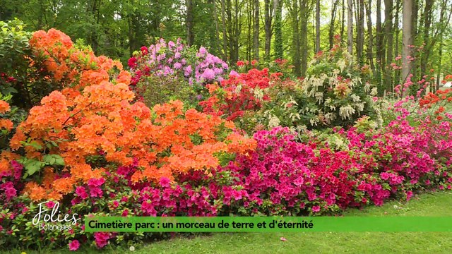 Folies Botaniques au Cimetière Parc #1 : présentation