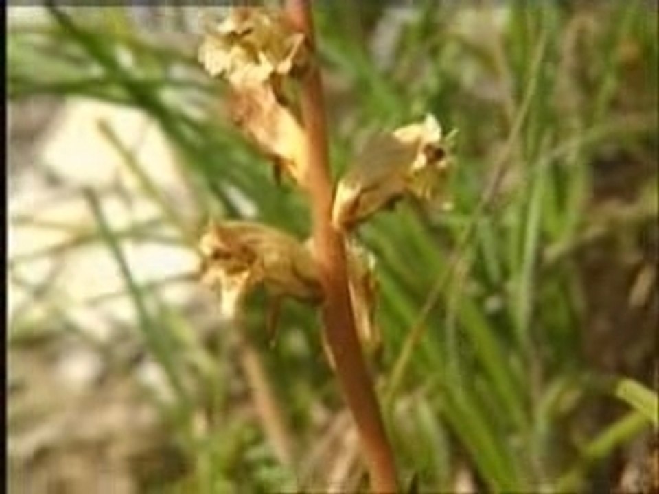 4 randonnées dans les Alpes du Sud