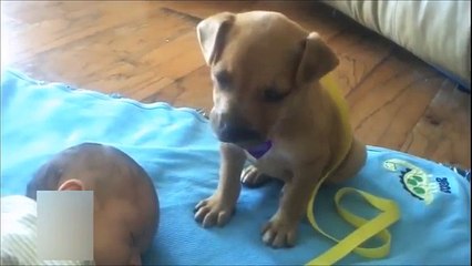 THIS WILL MAKE YOU SMILE 8 - YouTube