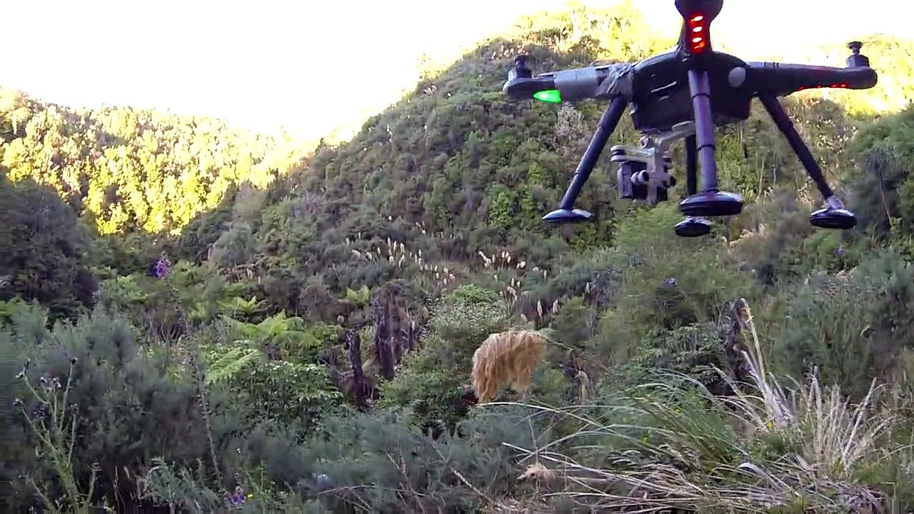 Drone gets shot down by high powered rifle