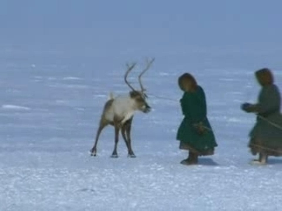 Thalassa - Nenetses, nomades en Sibérie