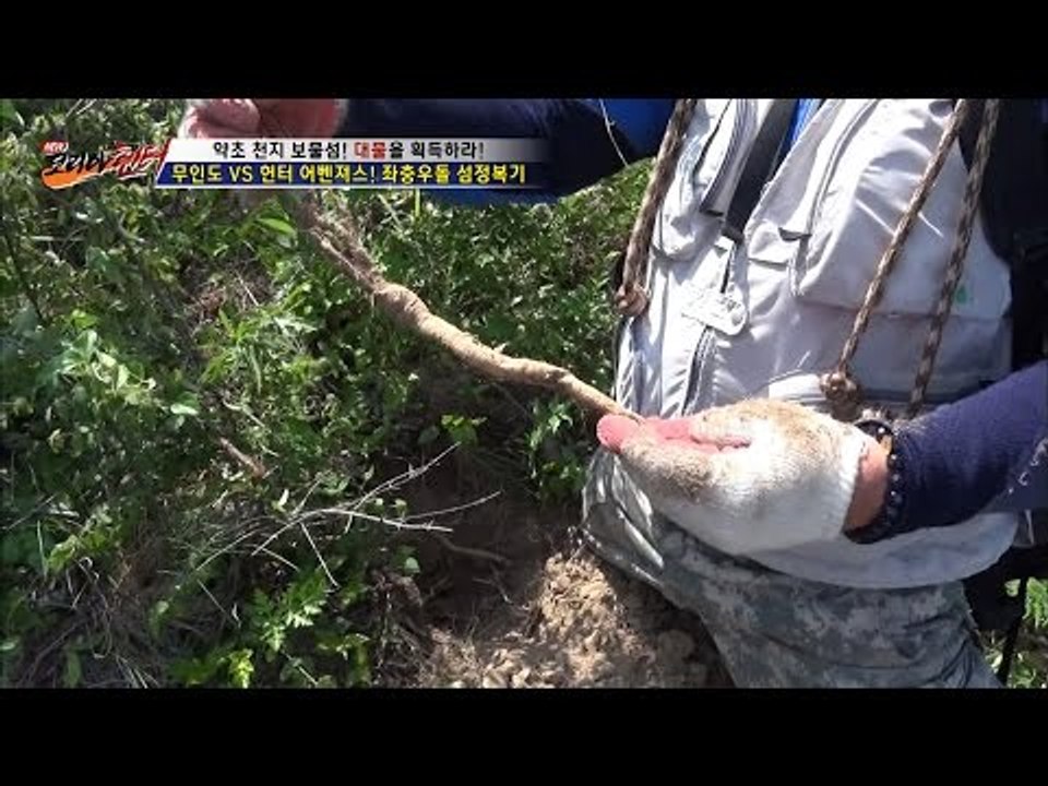 5대 삼으로 꼽히는 잔대, 산후통에 좋다![뉴 코리아 헌터] 3회 20160623