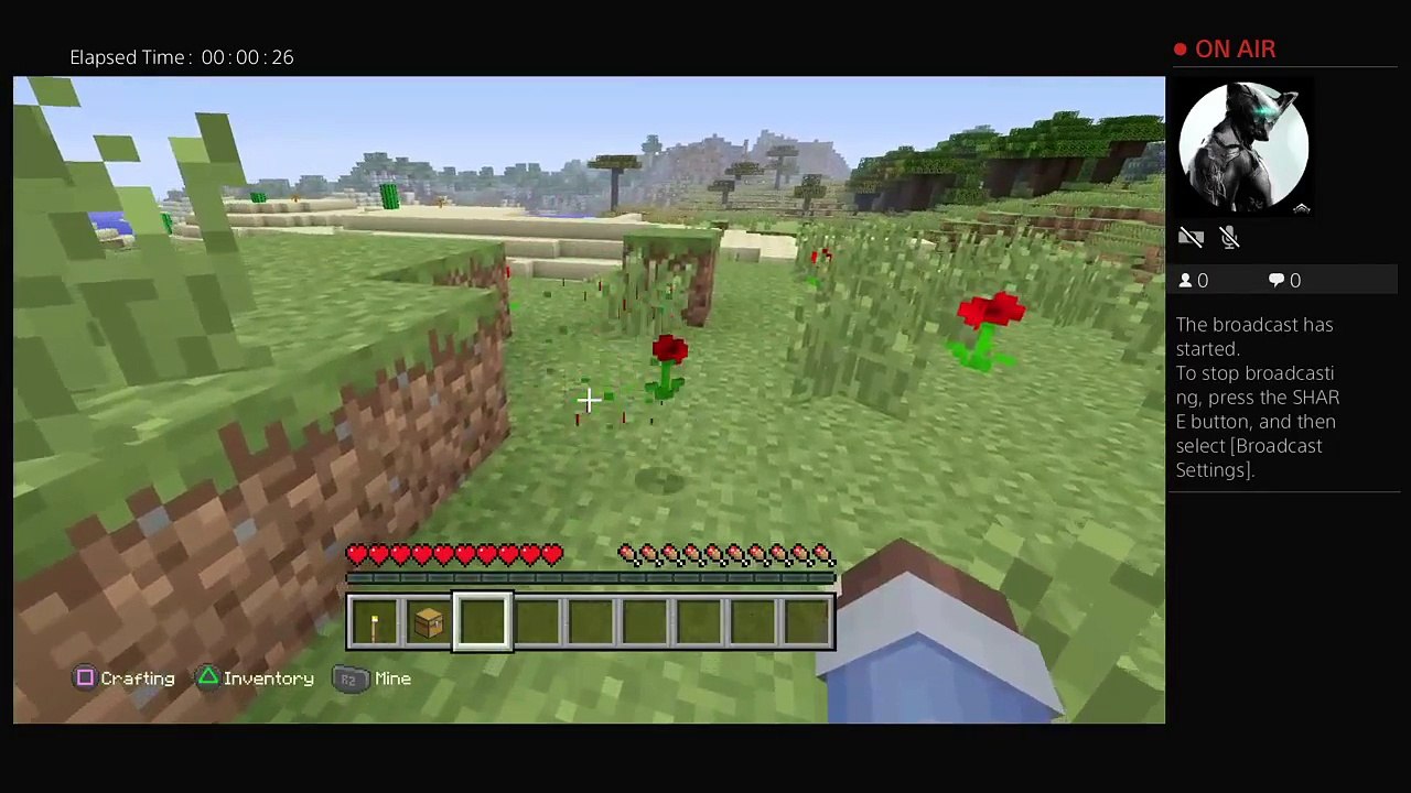 Hanginggamer _10 (31)