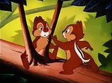 Chip and Dale Donald Duck-Out On A Limb,Watch Tv Series new S-E 2016