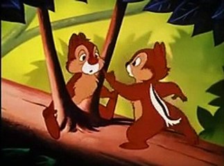 Chip and Dale Donald Duck-Out On A Limb,Watch Tv Series new S-E 2016