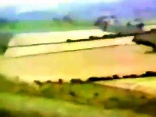 Ovnis fazendo desenho em plantação