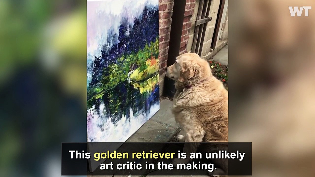 This Dog is Also An ART CRITIC