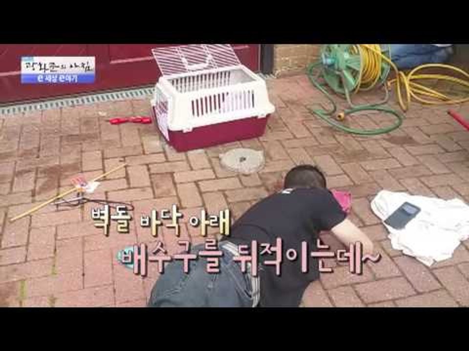 목숨을 걸고 동물을 구하는 사람들! [광화문의 아침] 257회 20160621