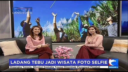Ladang Tebu Jadi Wisata Foto Selfie