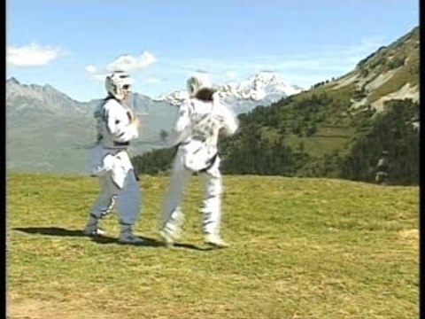 Taekwondo : techniques supérieures de haute compétition