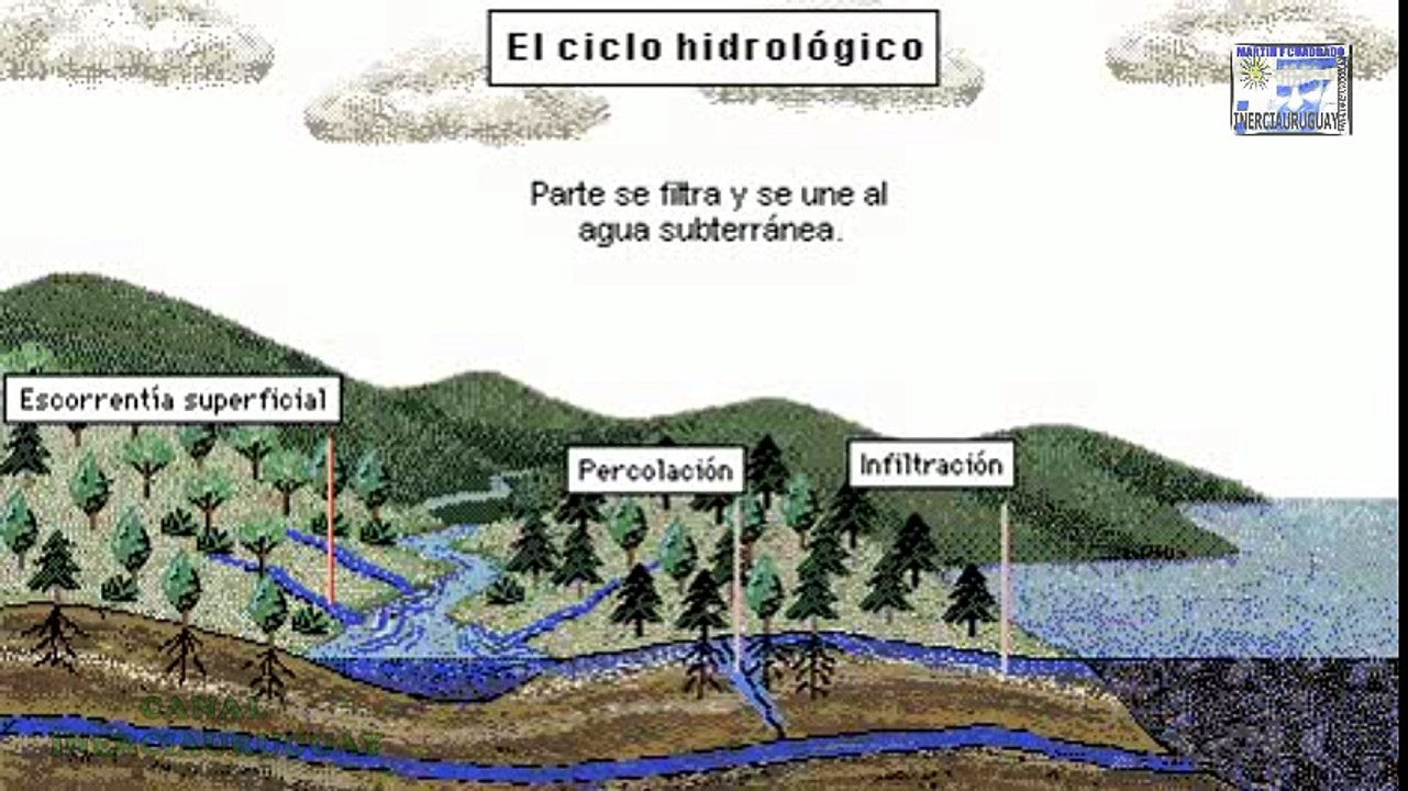 CICLO DEL AGUA COMO SE PRODUCE CICLO HIDROLOGICO LLUVIA ACIDA ANIMACION DEMOSTRATIVA