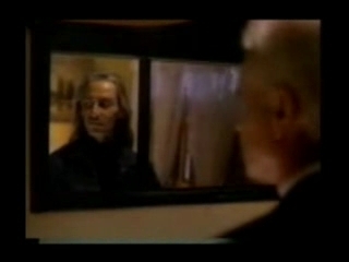 David Lynch ecosystem