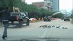 Ducks Shepherded Off Busy Road in Houston