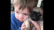 Puppy Love for This Boy and His Pet Pug