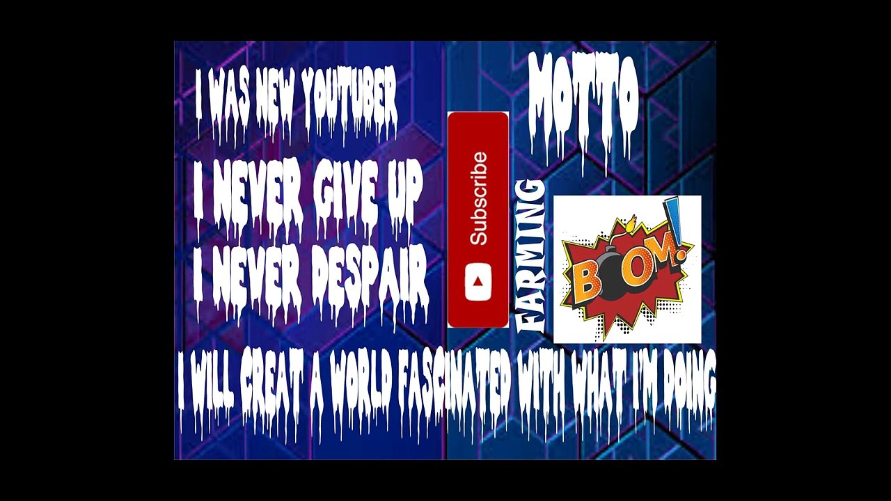 Funny videos