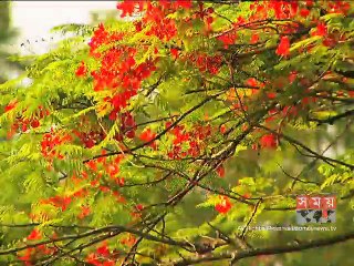 বৈশাখ-জৈষ্ঠ্য এ দু'মাসও সাজে ভিন্ন রূপে!