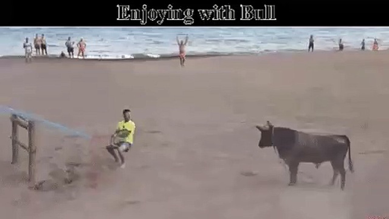 Funny Enjoying With Bull