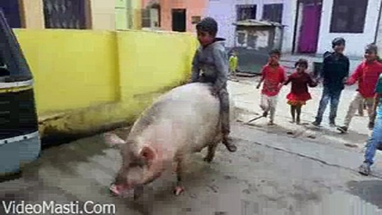 Yaar Bana Hai Dulha Sawari Dekho Haha(wapking.fm)