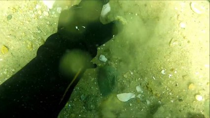 Underwater Metal Detecting hunting treasure, gold ring,gold coin,gold chain,silver #2