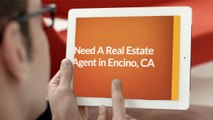 Sterling Realty & Lending Real Estate Agent in Encino, CA