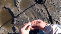 Find gold ring, gold coin,gold chain,diamond ring,silver ring on beach by metal detector #3