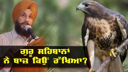 ਗੁਰੂ ਸਾਹਿਬਾਨਾਂ ਨੇ ਬਾਜ਼ ਕਿਉਂ ਰੱਖਿਆ - Dr. Sukhpreet Singh Ji Udhoke