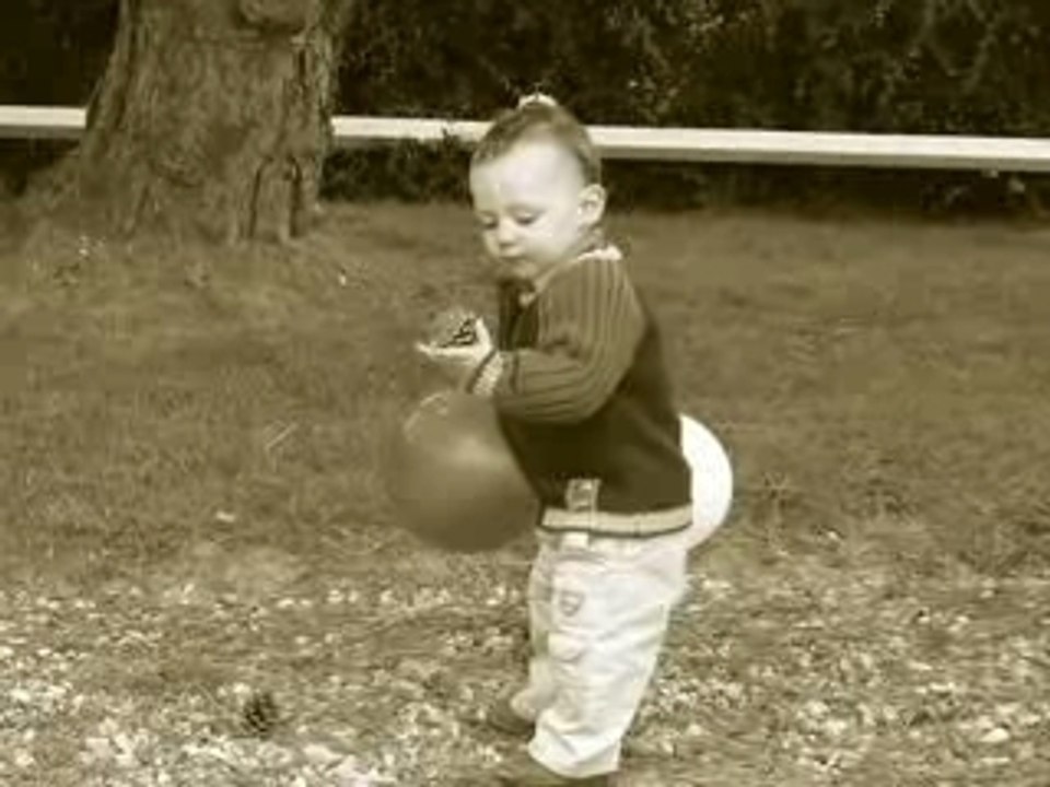 Montage de leo n°2
