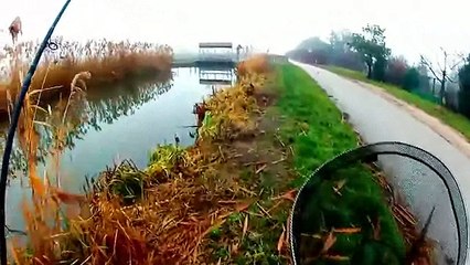 Kuruyan Gölde Turna Avı