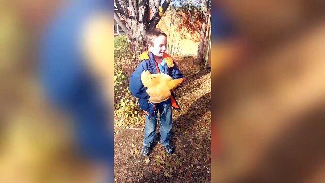 Une belle méthode pour s'arracher une dent... Okay