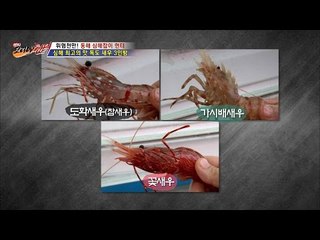 심해 최고의 맛 독도 새우 3인방 [뉴 코리아 헌터] 2회 20160616
