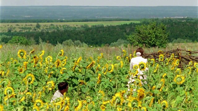 Тихий Дон. 3 cерия (2015) Драма, экранизация @ Русские сериалы